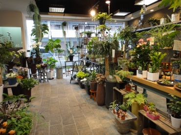 「佳フラワーガーデン」　（奈良県生駒市）の花屋店舗写真2